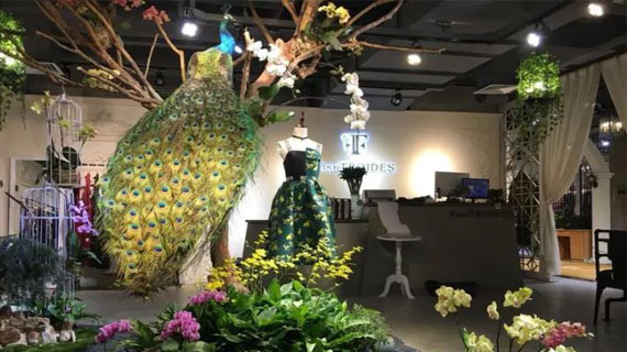 FISHTROIDES：镜花水月