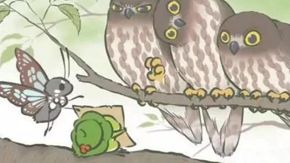 服装小青蛙的日常