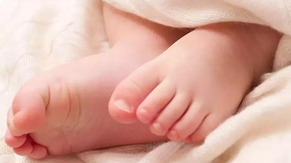 申城已飘瑞雪，亲肤保暖的羊绒衫你备了吗