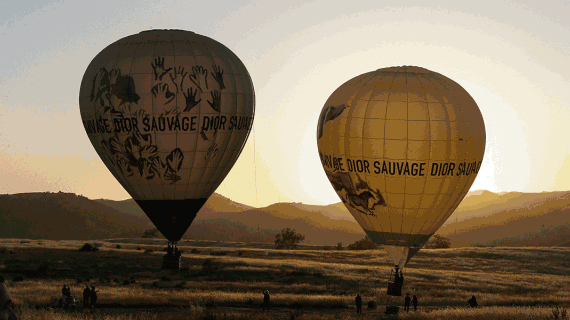 蛙宝宝没回来怎么办？你穿上这些也去旅行度假啊！