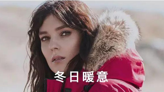 一件羽绒服上万元，加拿大鹅凭啥火遍全球？