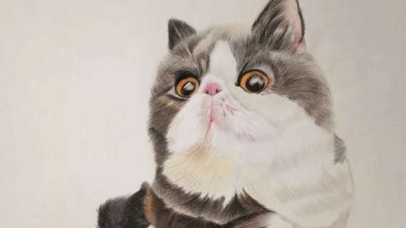 有哪些东西买的时候觉得贵，但买完却感觉很值？