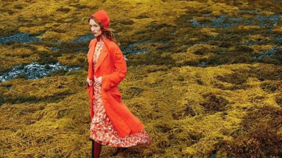 我们一起去旅行吧