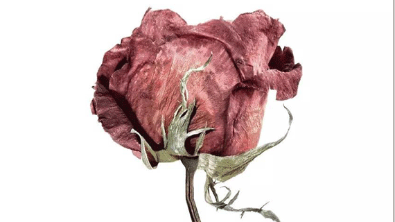 宝贝，我想泡你