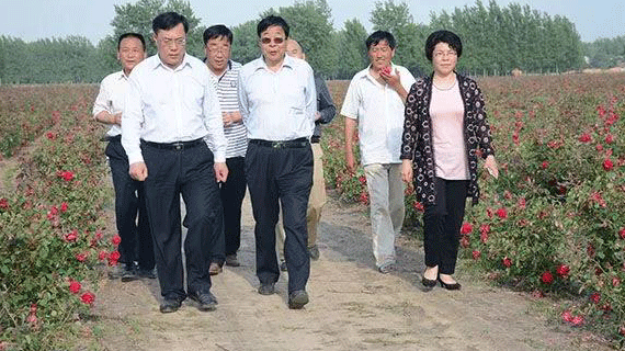 做大巧媳妇工程 走特色发展道路——商水实施巧媳妇工程经验