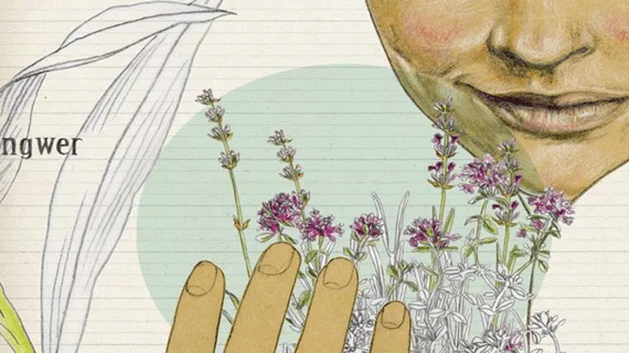 林清轩：凭什么赶超国际大牌？【商评话新零售】