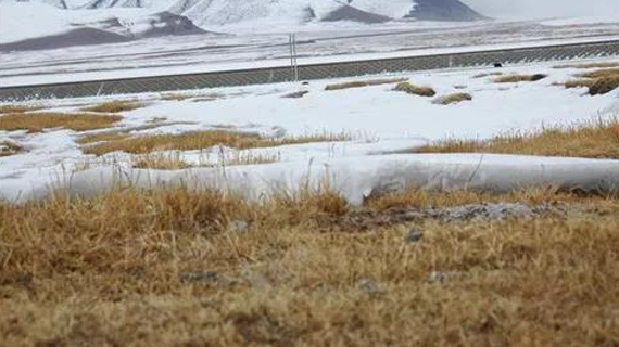 羽绒服界的“宾利”，10000元一件的羽绒服3分钟被抢光，成明星标配