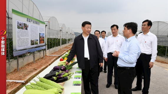 特别的函给特别的您丨于都欢迎您