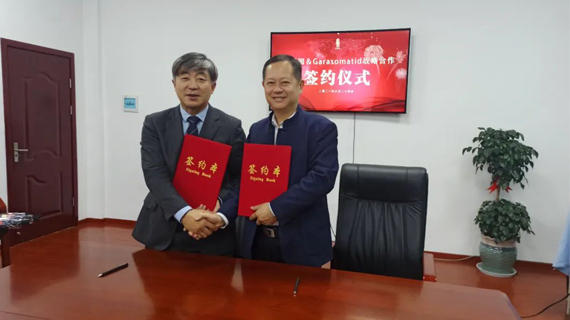 面料升级、设计升级 华服园迈入新发展阶段