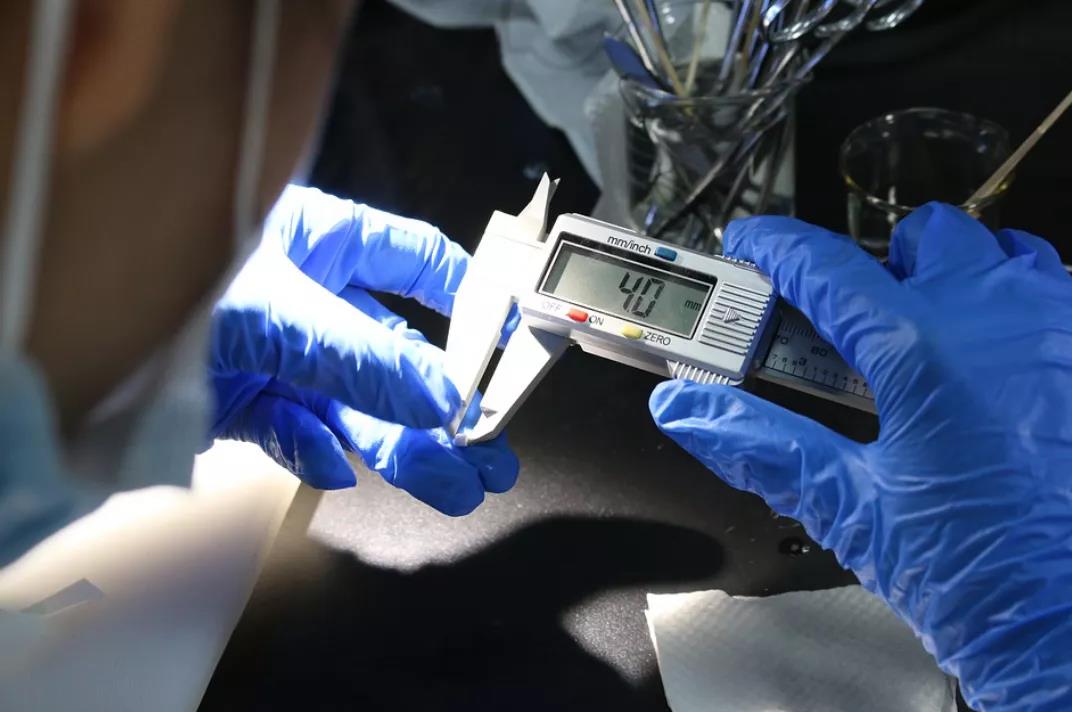 2019丝绸之路国际时装周-相约广州