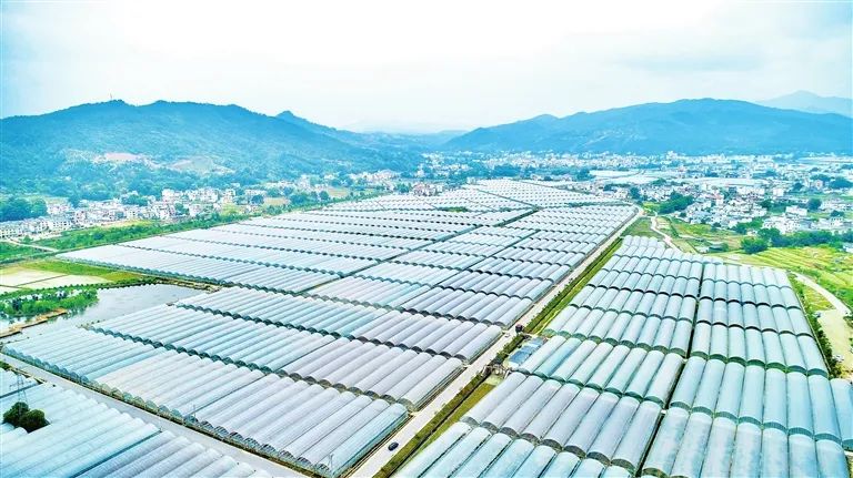 赣州：打造产业集群 迸发高质量发展活力