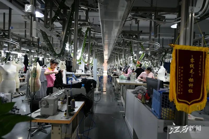 媒体聚焦丨《中国组织人事报》点赞桐乡开展“学子码”赋码打造数字化高校毕业生人才库