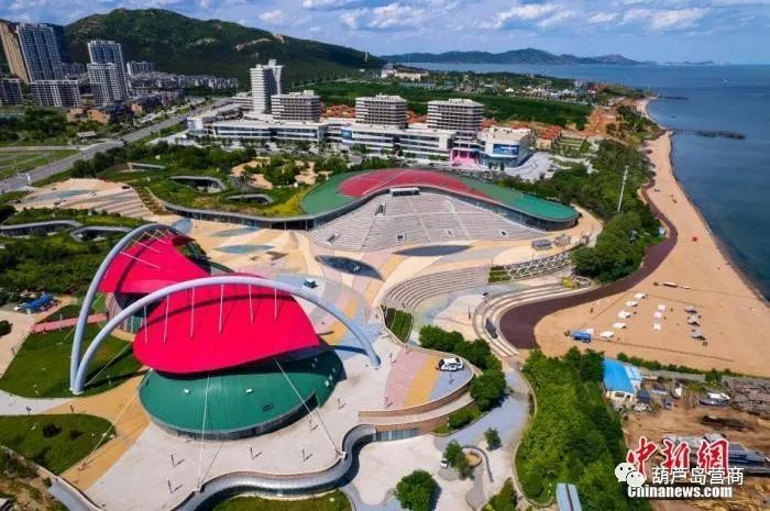 120亿巨头承认造假：这个赛道没3个亿别干，会死