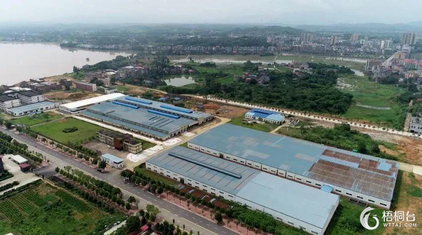 是谁干掉了数字化转型？